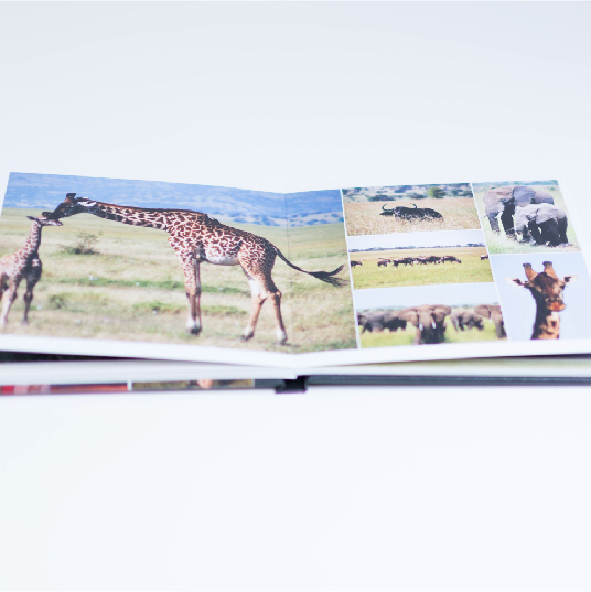 custom photo album book showcasing travel photos